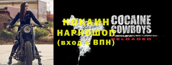 прущие грибы Краснотурьинск