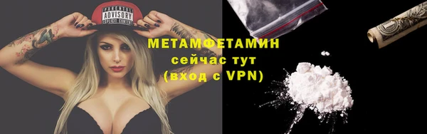 прущие грибы Краснотурьинск