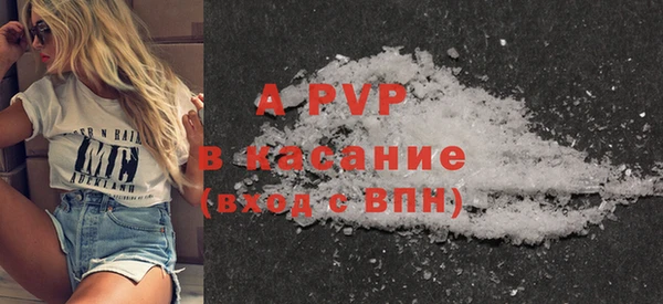 стафф Коряжма