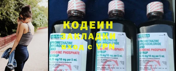 прущие грибы Краснотурьинск