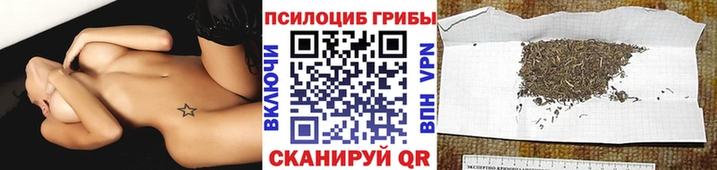 мега сайт  Севск  Галлюциногенные грибы Magic Shrooms 